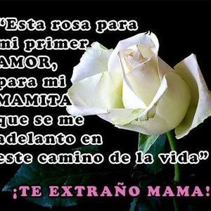 Meet your Posher, Bryan